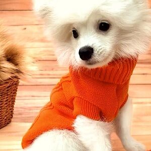 SALE | Vibrant Orange Cable Knit Turtleneck Sweater for Small Toy Breed Puppy